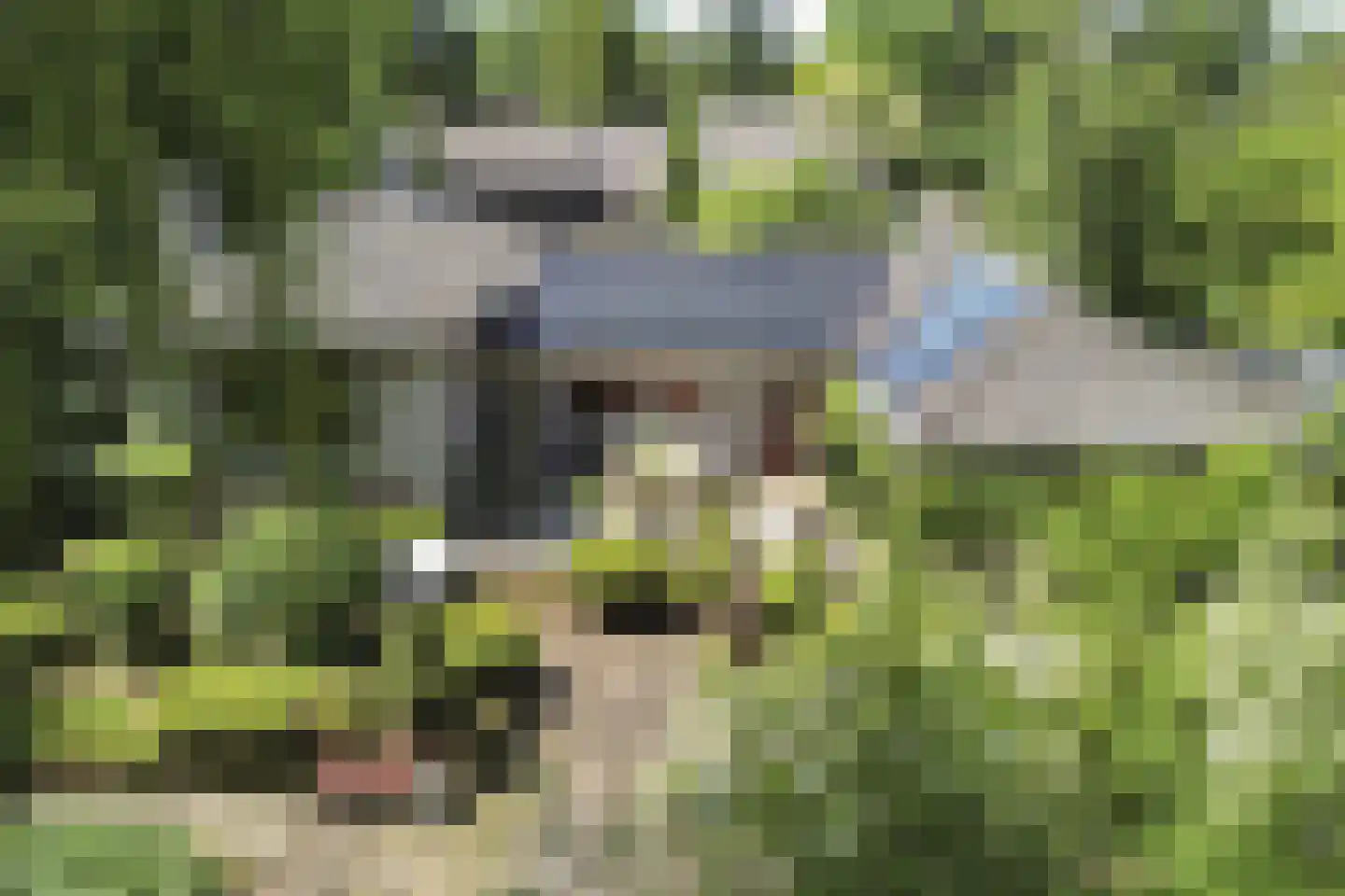 Hunenborg 5 Eindhoven thumbnail 40