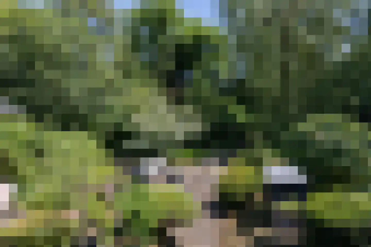 Hunenborg 5 Eindhoven thumbnail 43