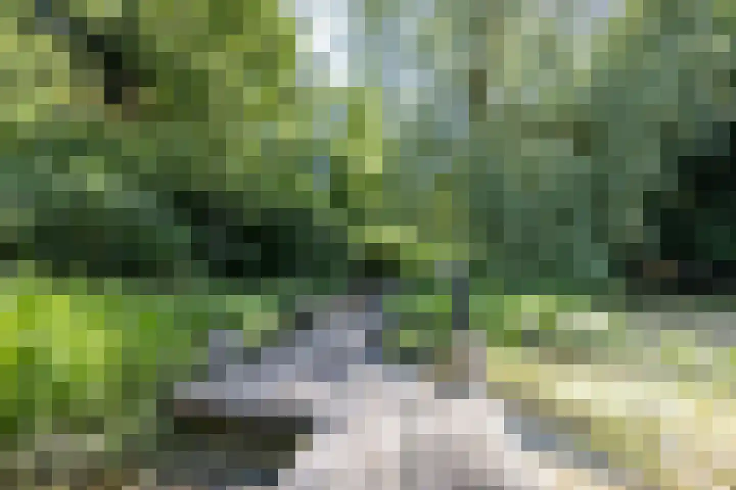 Hunenborg 5 Eindhoven thumbnail 45