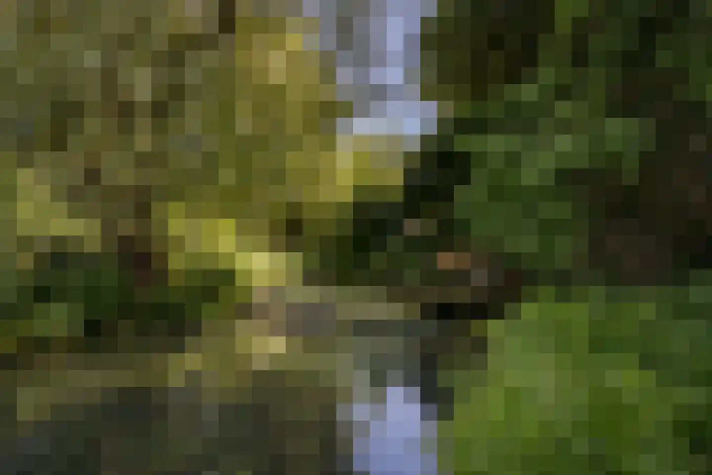 Hunenborg 5 Eindhoven thumbnail 46