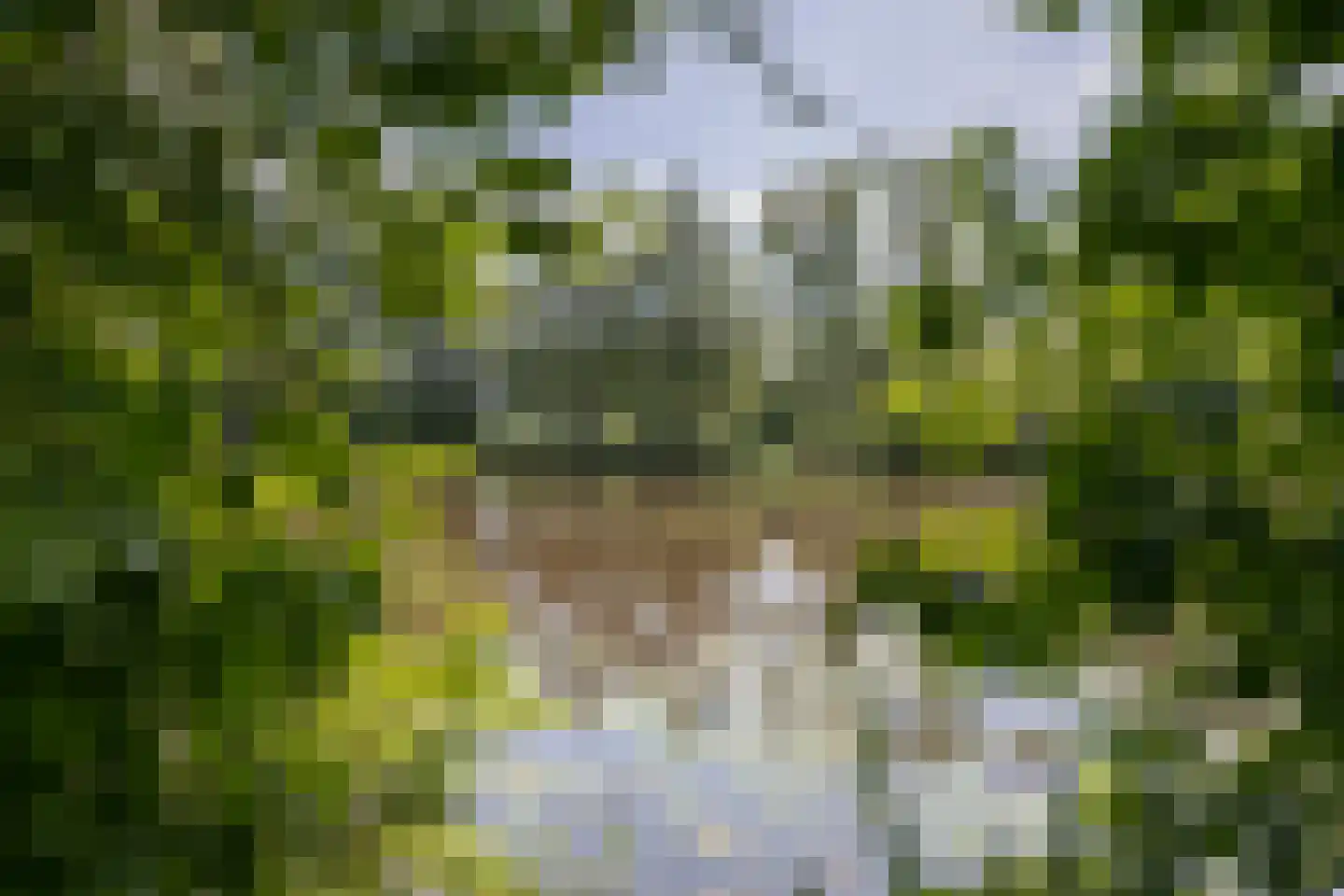 Hunenborg 5 Eindhoven thumbnail 49