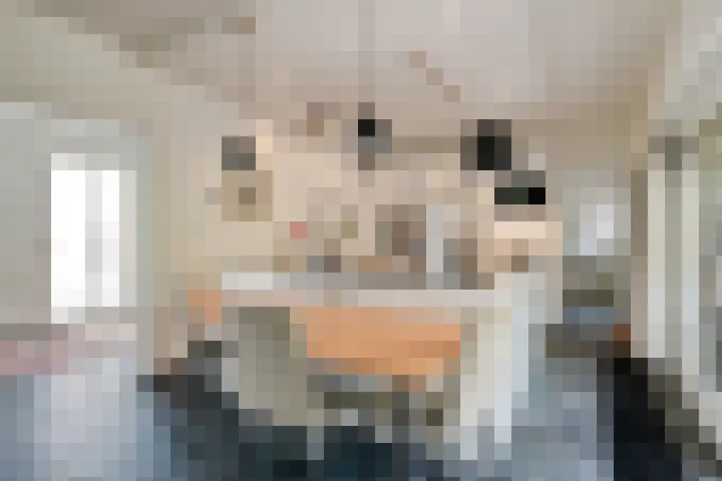 Hunenborg 5 Eindhoven thumbnail 7