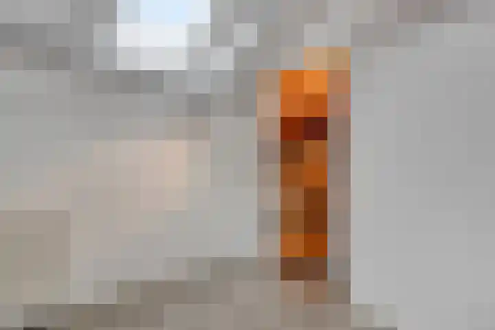 Hunenborglaan 146 Oldenzaal thumbnail 21