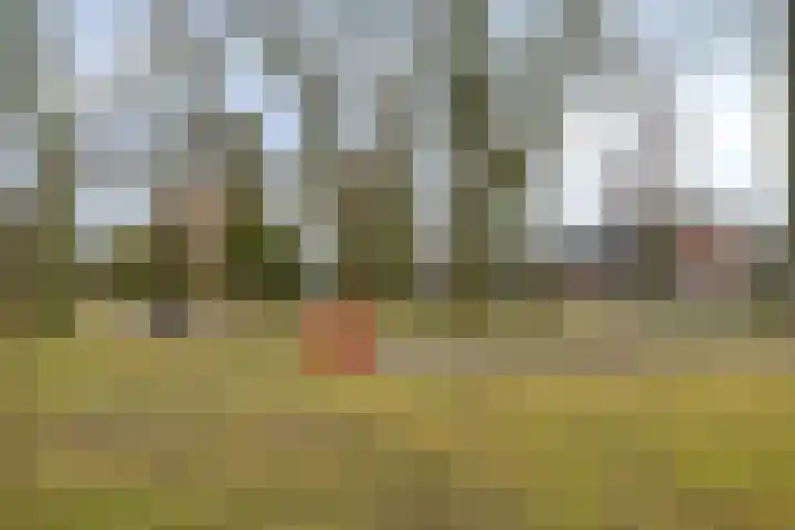 Hunenborglaan 146 Oldenzaal thumbnail 28