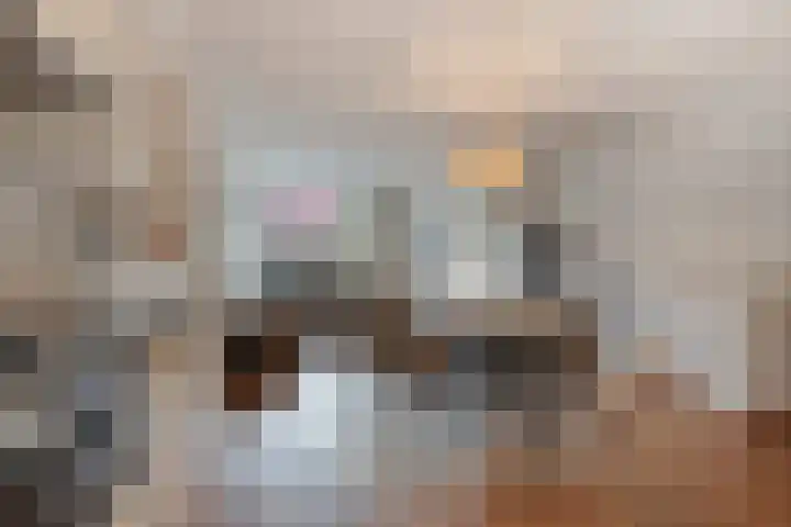 Hunenborglaan 146 Oldenzaal thumbnail 8