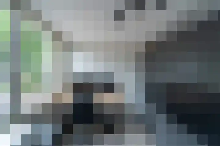 Hunenborglaan 160 Oldenzaal thumbnail 18