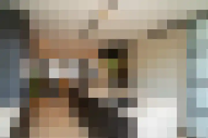 Hunenborglaan 160 Oldenzaal thumbnail 9