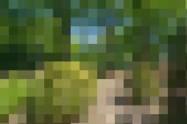 Hunenborglaan 194 Oldenzaal thumbnail 22