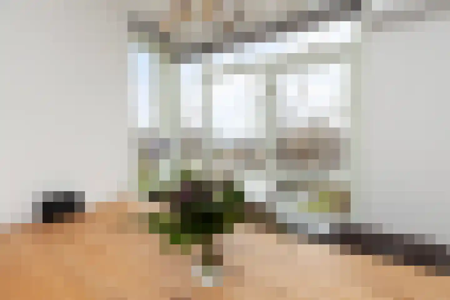 Hunenborgplantsoen 9 Rotterdam thumbnail 10