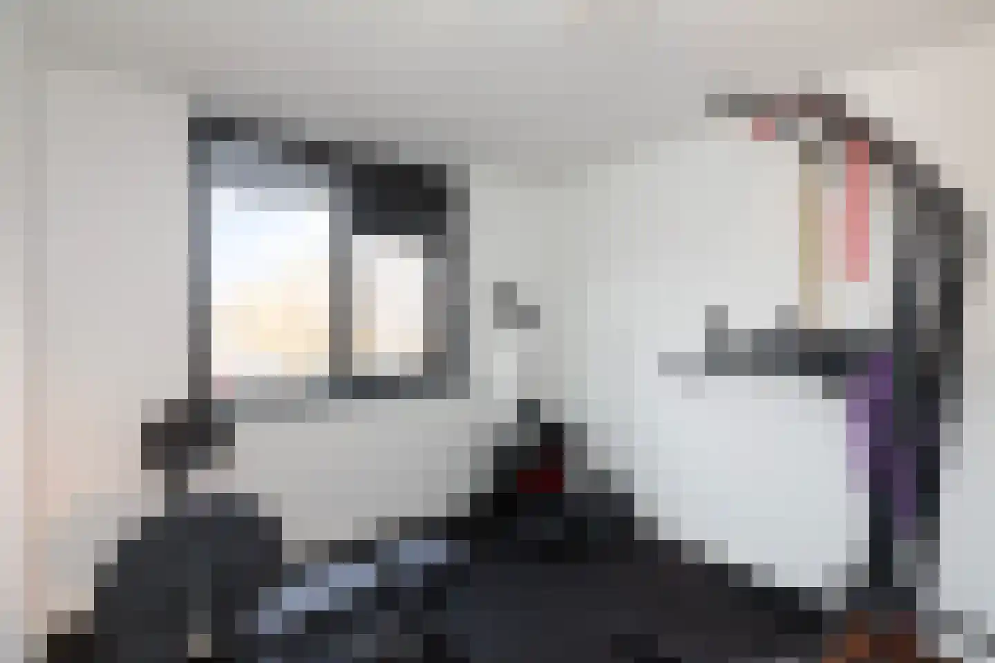 Hunenborgplantsoen 9 Rotterdam thumbnail 21