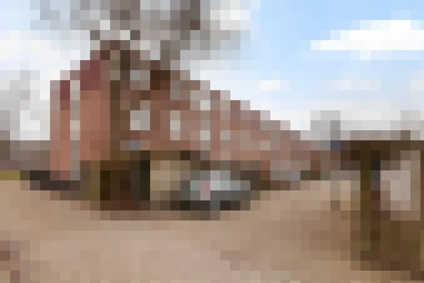 Hunenborgplantsoen 9 Rotterdam thumbnail 29