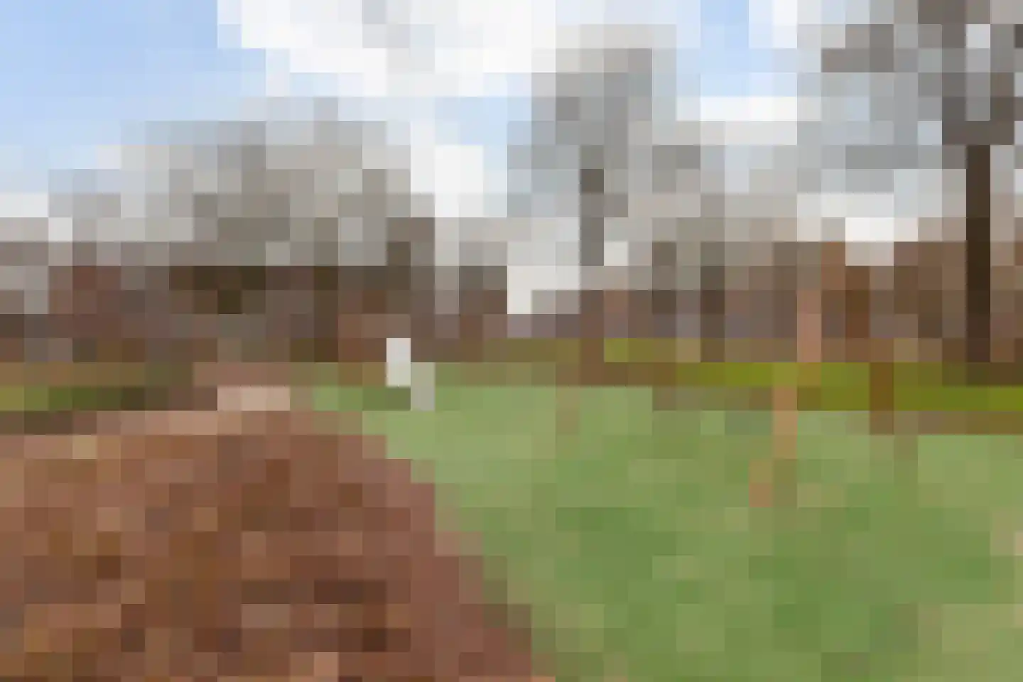 Hunenborgplantsoen 9 Rotterdam thumbnail 31