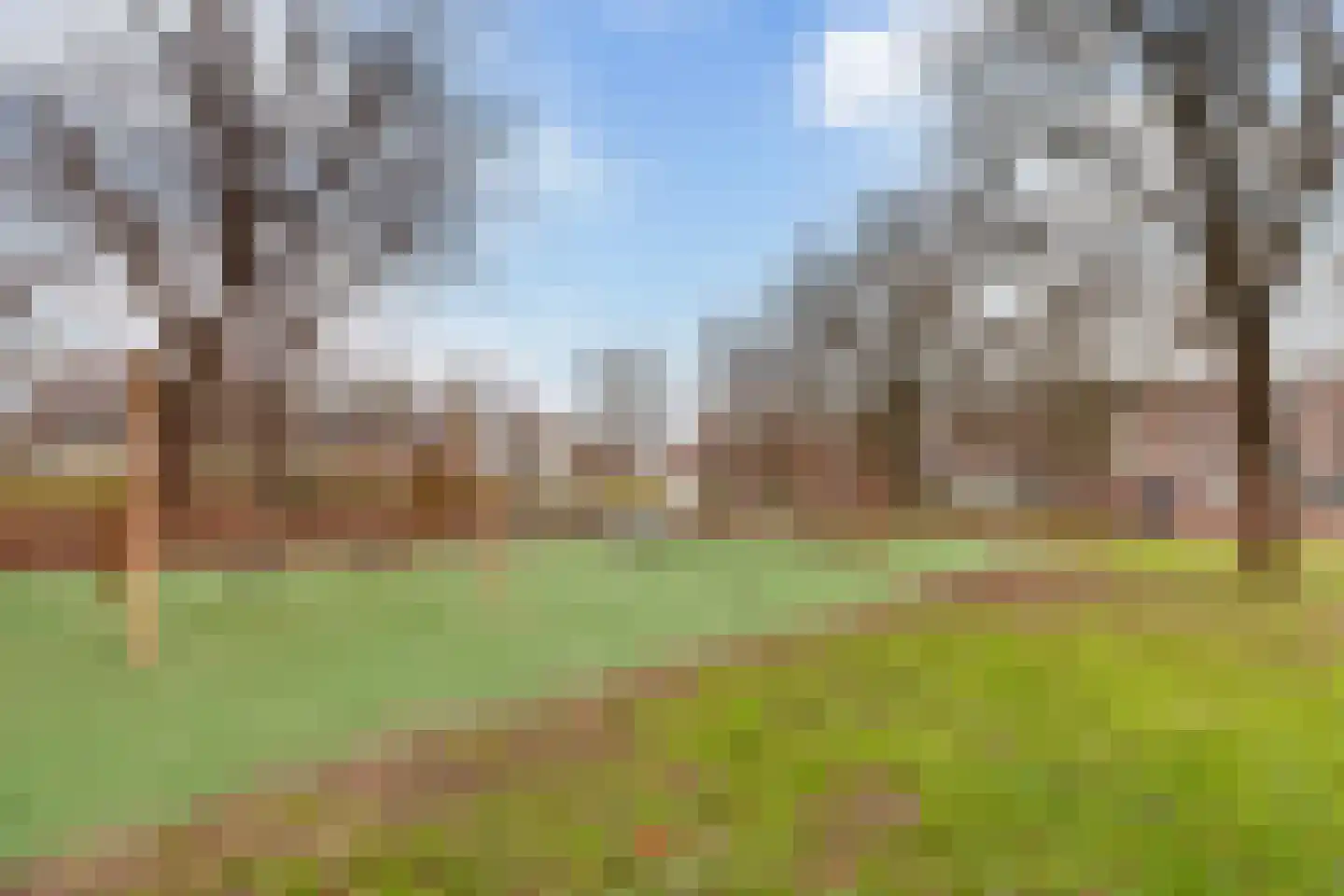 Hunenborgplantsoen 9 Rotterdam thumbnail 32