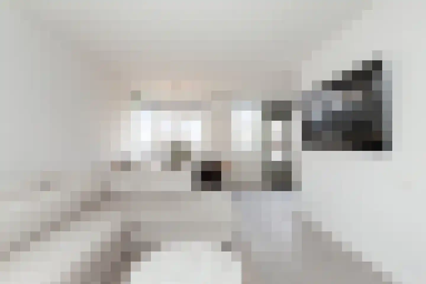 Hunenborgplantsoen 9 Rotterdam thumbnail 5