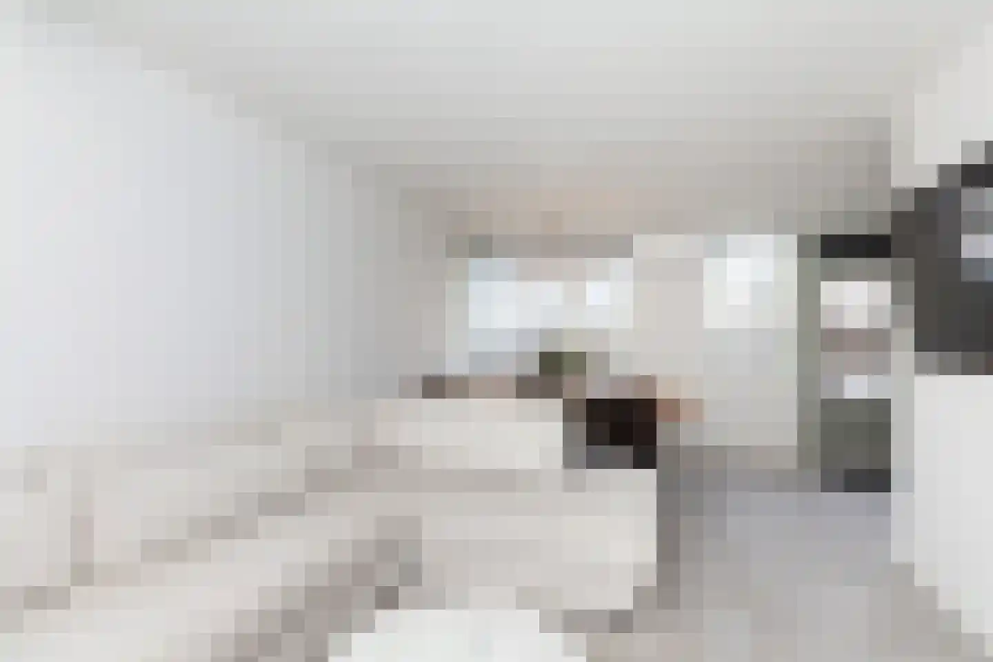 Hunenborgplantsoen 9 Rotterdam thumbnail 6