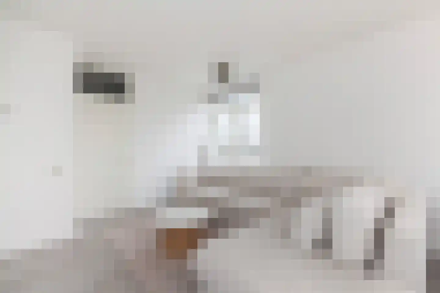 Hunenborgplantsoen 9 Rotterdam thumbnail 7