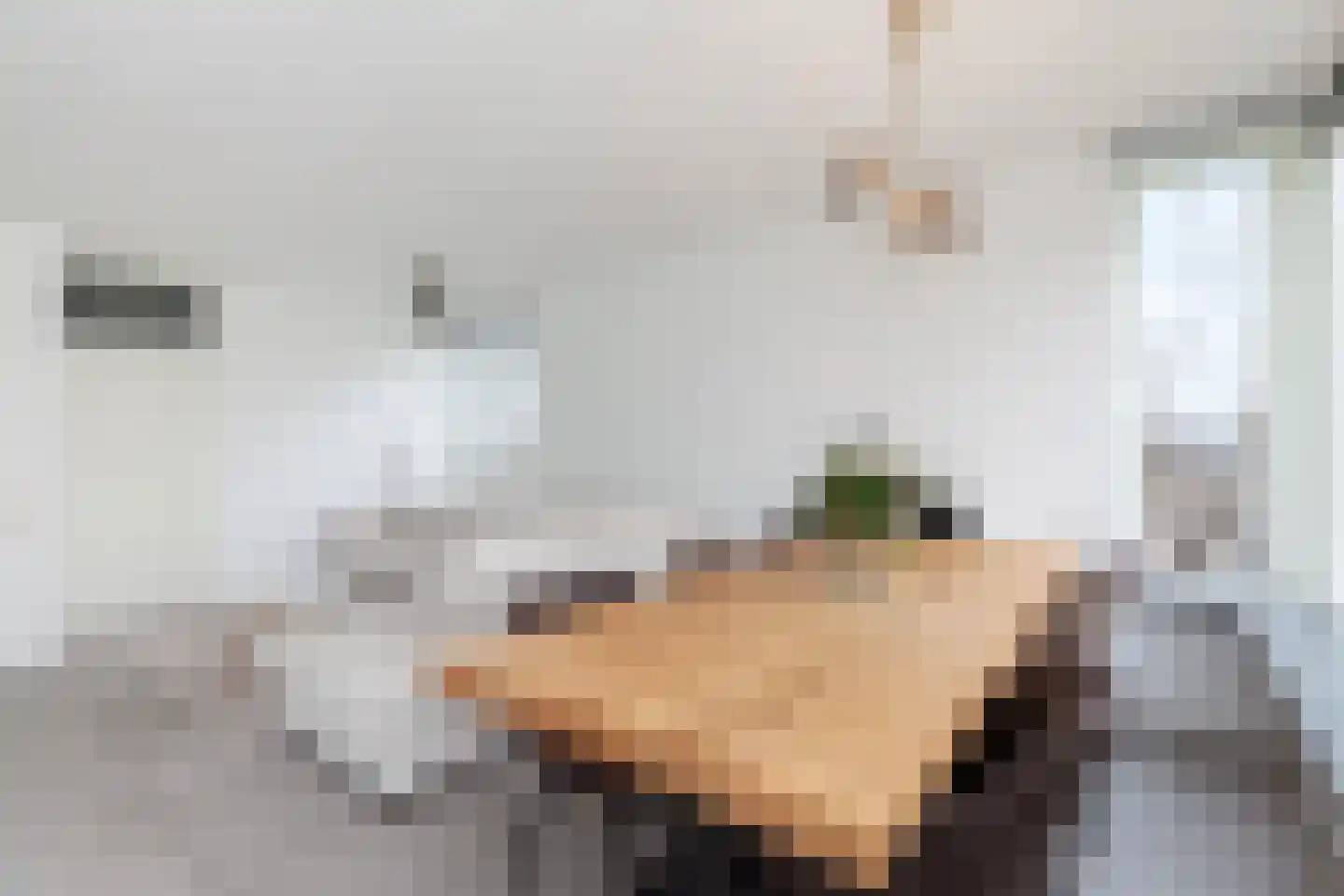 Hunenborgplantsoen 9 Rotterdam thumbnail 8