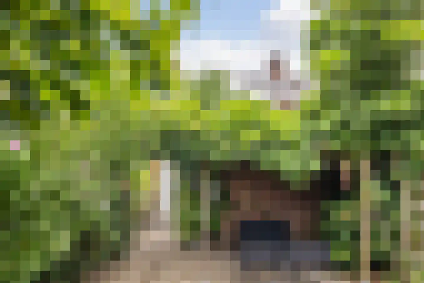 Hunenborgstraat 16 Arnhem thumbnail 16