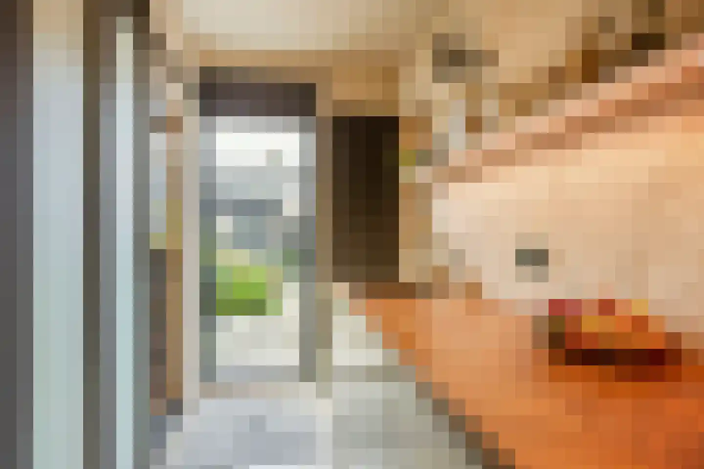 Hunenborgstraat 4 Arnhem thumbnail 18