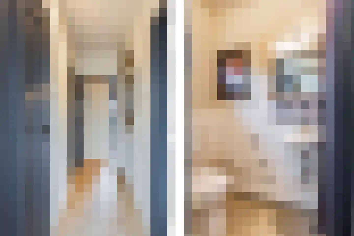 Hunenborgstraat 4 Arnhem thumbnail 30