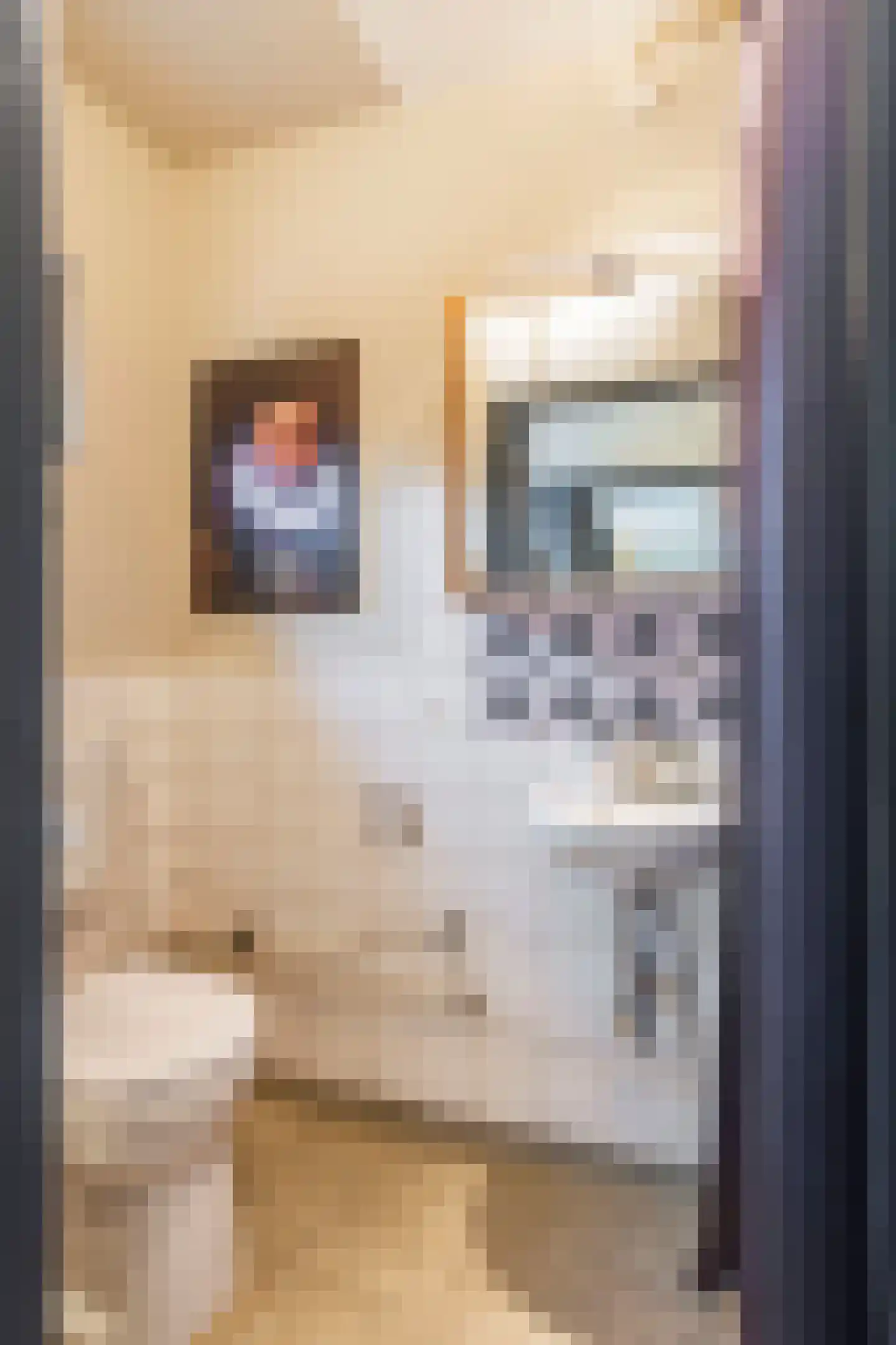 Hunenborgstraat 4 Arnhem thumbnail 31