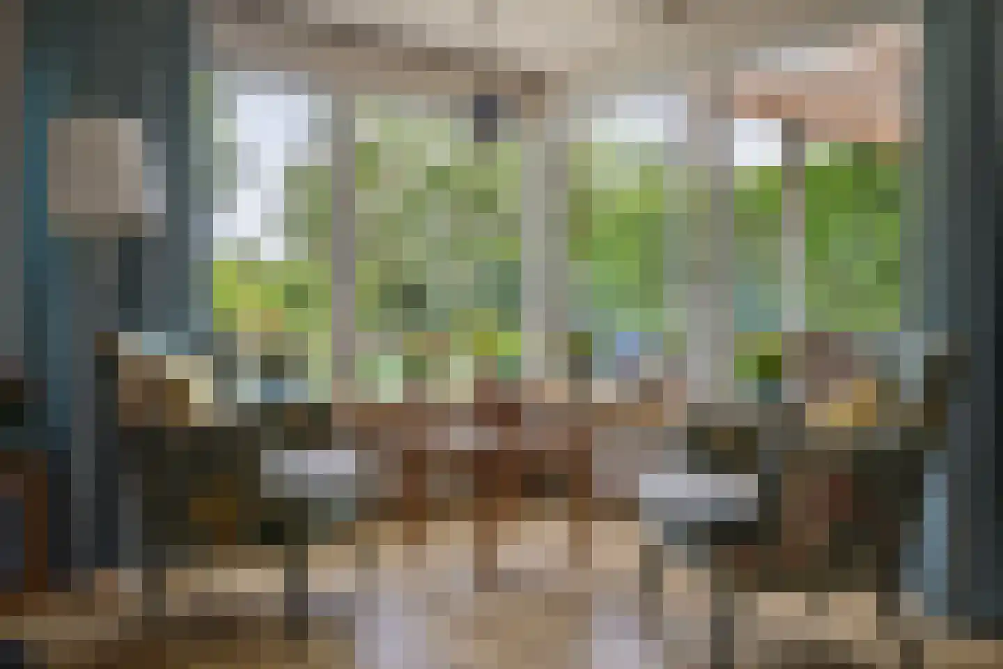Hunenoord 33 Emmen thumbnail 15