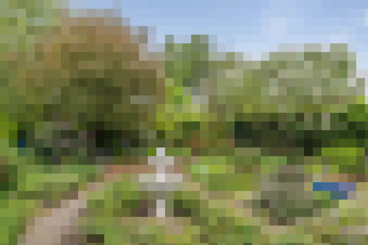 Hunenoord 33 Emmen thumbnail 36