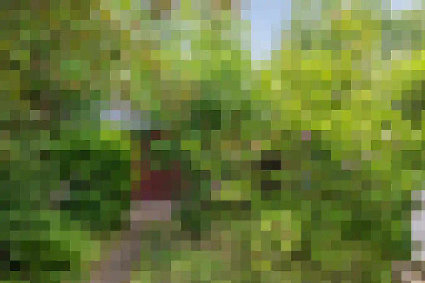 Hunenoord 33 Emmen thumbnail 41