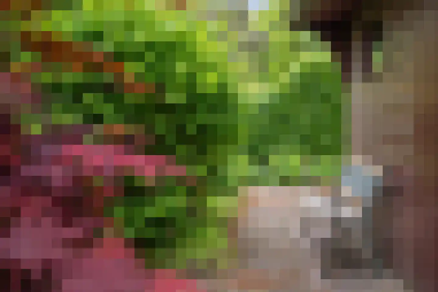 Hunenoord 33 Emmen thumbnail 42