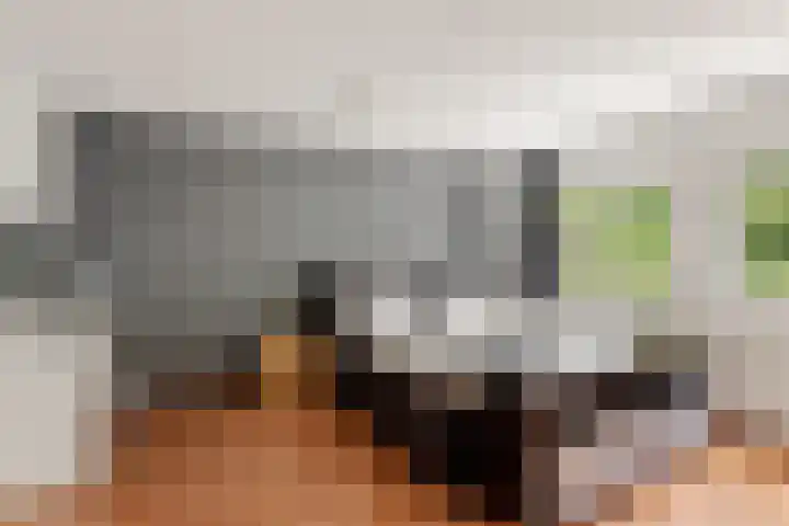 Hunenveldlaan 122 Oldenzaal thumbnail 13