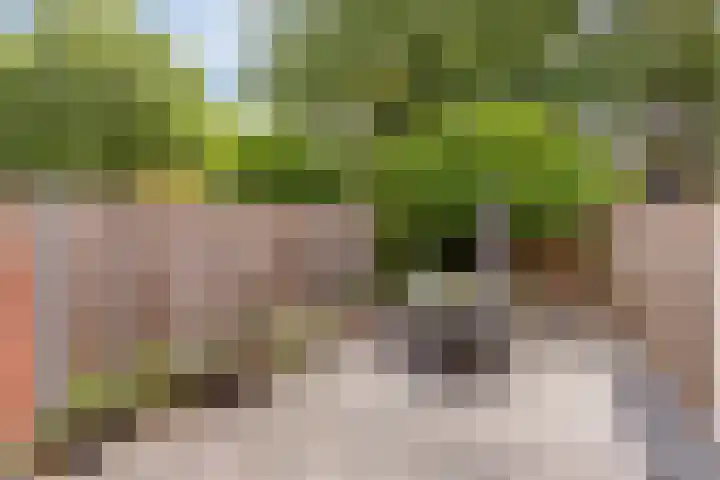 Hunenveldlaan 122 Oldenzaal thumbnail 18