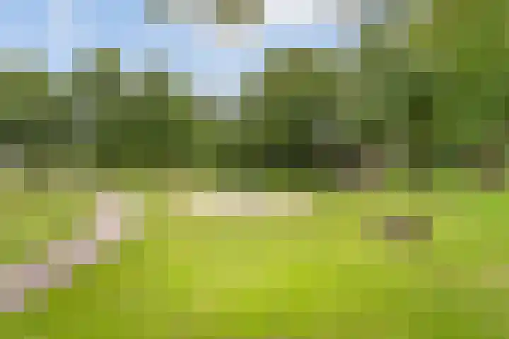 Hunenveldlaan 122 Oldenzaal thumbnail 20