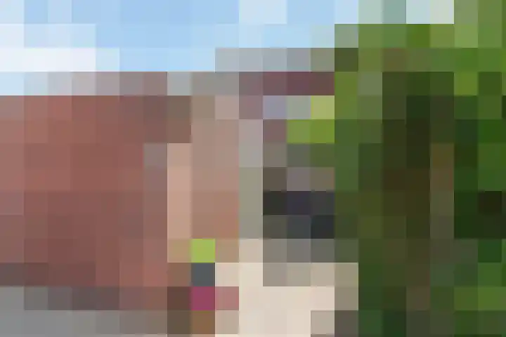 Hunenveldlaan 176 Oldenzaal thumbnail 23