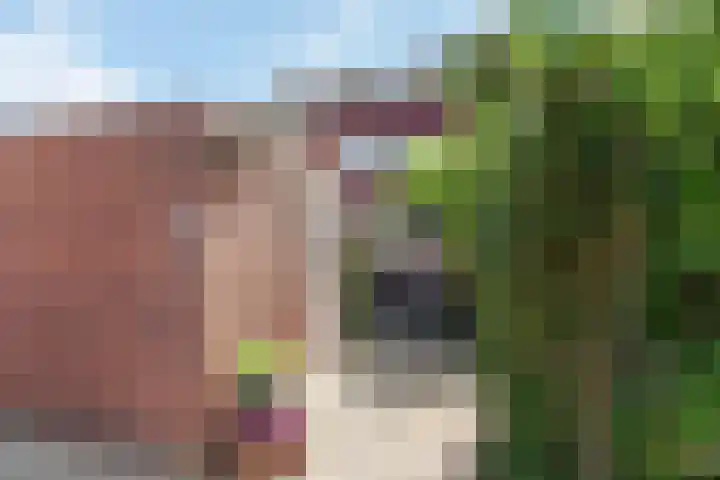 Hunenveldlaan 176 Oldenzaal thumbnail 5