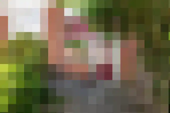 Hunenveldlaan 176 Oldenzaal thumbnail 6