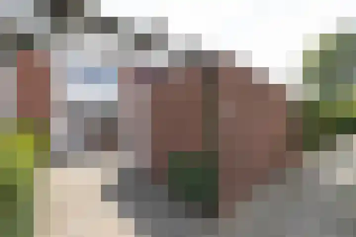 Hunenveldlaan 178 Oldenzaal thumbnail 22
