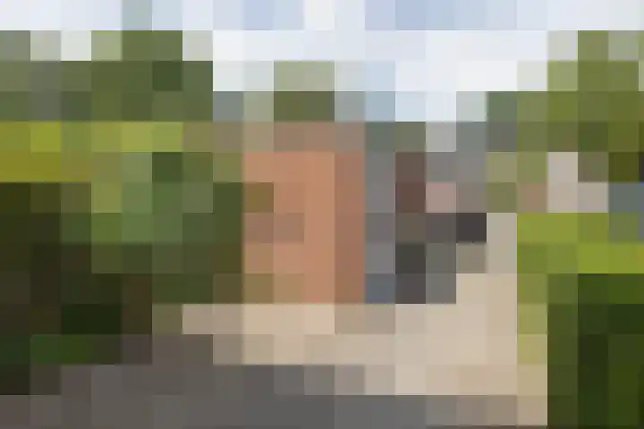 Hunenveldlaan 178 Oldenzaal thumbnail 5