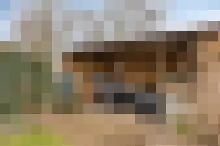 Hunenveldlaan 182 Oldenzaal thumbnail 23