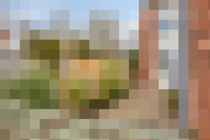 Hunenveldlaan 182 Oldenzaal thumbnail 24