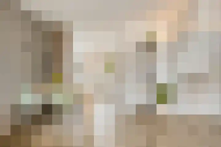 Hunenveldlaan 182 Oldenzaal thumbnail 8