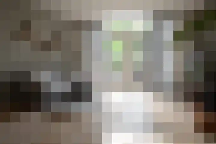 Hunenveldlaan 186 Oldenzaal thumbnail 10
