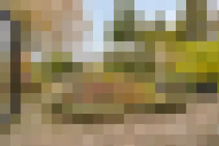 Hunenveldlaan 194 Oldenzaal thumbnail 26