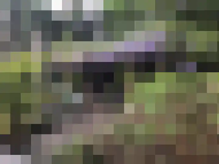 Hunenveldlaan 194 Oldenzaal thumbnail 29