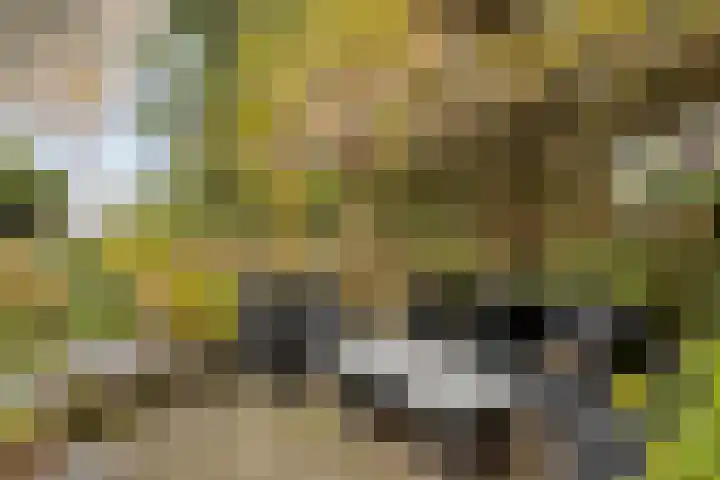 Hunenveldlaan 194 Oldenzaal thumbnail 30