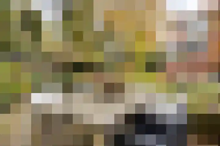 Hunenveldlaan 194 Oldenzaal thumbnail 31