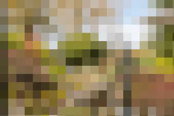 Hunenveldlaan 194 Oldenzaal thumbnail 33