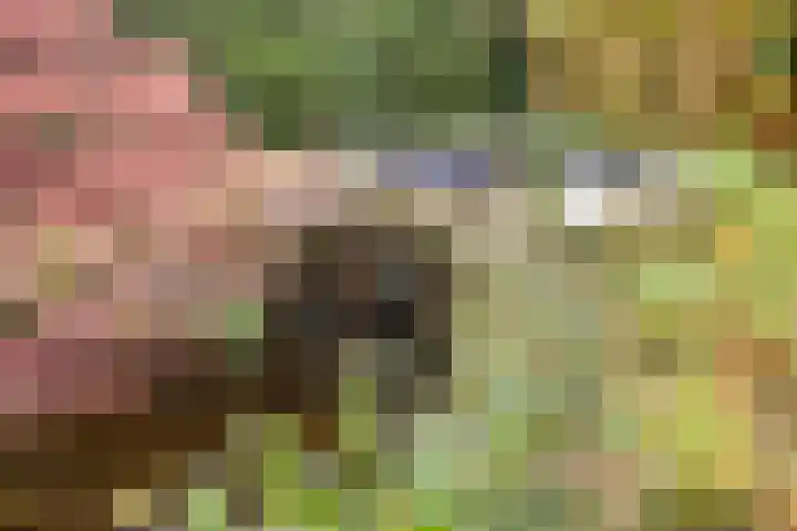Hunenveldlaan 194 Oldenzaal thumbnail 34