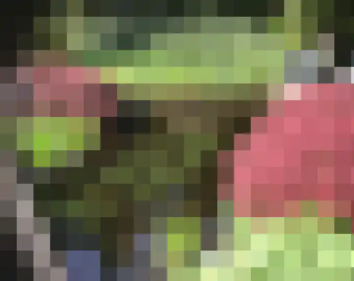 Hunenveldlaan 194 Oldenzaal thumbnail 35