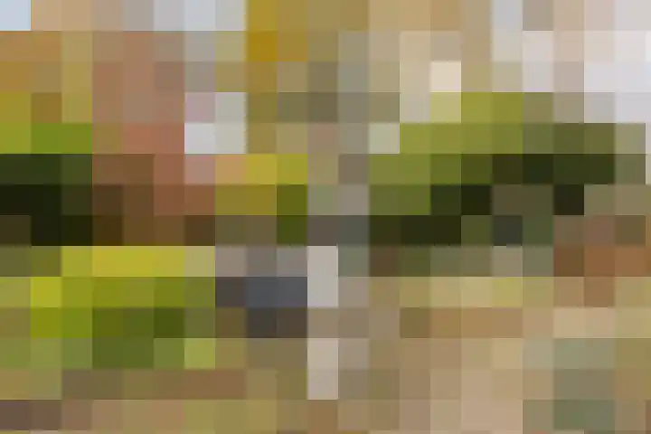 Hunenveldlaan 194 Oldenzaal thumbnail 36