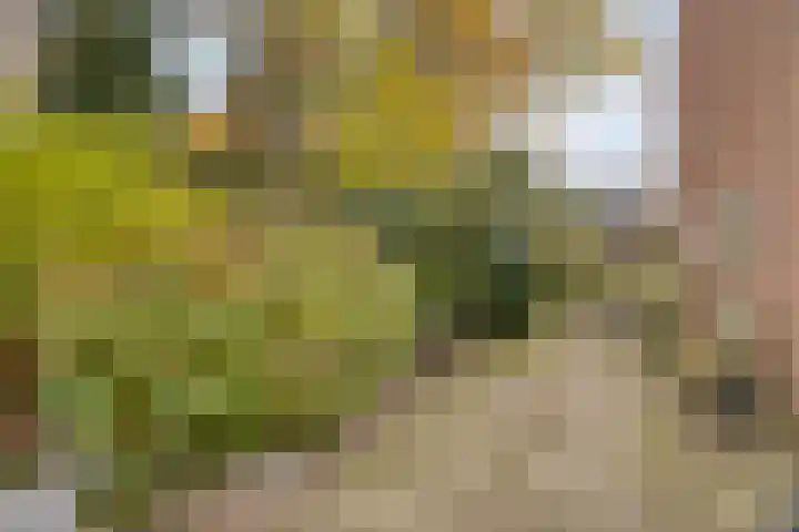Hunenveldlaan 194 Oldenzaal thumbnail 37